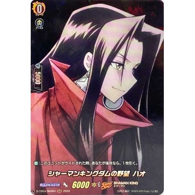 画像1: 〔状態A-〕シャーマンキングダムの野望ハオ【SKR】{D-TB04/SKR64}《SHAMANKING》