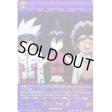 〔状態A-〕チームTHE蓮【SKR】{D-TB04/SKR42}《SHAMANKING》