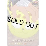 〔状態B〕頼もしいジャガーの相棒ミック【SKR】{D-TB04/SKR78}《SHAMANKING》