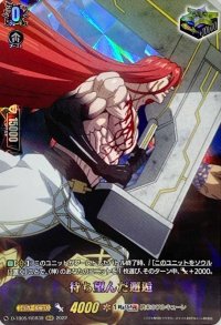 〔状態A-〕待ち望んだ邂逅【RGR】{D-TB05/RGR39}《終末のワルキューレ》