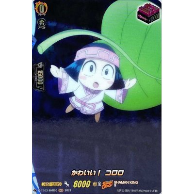 画像1: かわいい！コロロ【SKR】{D-TB03/SKR66}《SHAMANKING》