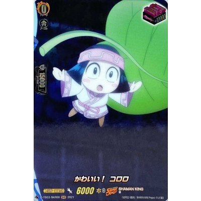 〔状態B〕かわいい！コロロ【SKR】{D-TB03/SKR66}《SHAMANKING》