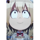 なにがあっても【SKR】{D-TB03/SKR81}《SHAMANKING》