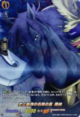 〔状態B〕史上最強の名馬の霊黒桃【SKR】{D-TB03/SKR52}《SHAMANKING》