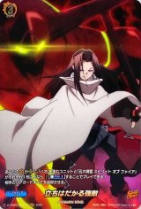 〔状態A-〕立ちはだかる強敵【SKR】{D-TB03/SKR41}《SHAMANKING》