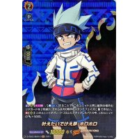 〔状態A-〕叶えたいでけえ夢ホロホロ【SKR】{D-TB03/SKR10}《SHAMANKING》