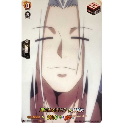 〔状態A-〕葉に似てきた？阿弥陀丸【SKR】{D-TTD04/SKR13}《SHAMANKING》