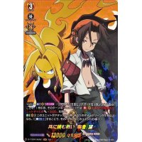 共に挑む戦い麻倉葉【SKR】{D-TTD04/SKR01}《SHAMANKING》