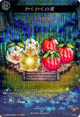 〔状態A-〕わくわくの実【MSR】{D-TB06/MSR32}《モンスターストライク》