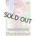 〔状態B〕Pastel＊Palettes大和麻弥【EX】{DZ-BT17/EX14}《その他》