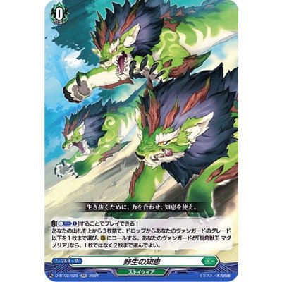 野生の知恵【RR】{D-BT02/025}《ストイケイア》