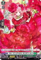 ブルーミングペタルカリオフィルス【H】{D-BT03/H42}《ストイケイア》