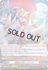 〔状態B〕幽遠なる夜にタマユラ【RRR】{D-BT05/007}《ドラゴンエンパイア》