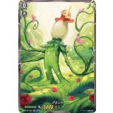 〔状態B〕プラント【H】{D-BT05/H55}《その他》