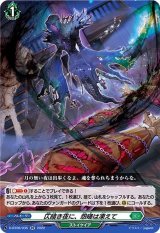 〔状態B〕仄暗き夜に、怨嗟は凍えて【RR】{D-BT06/035}《ストイケイア》