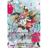 〔状態A-〕満開の大行進リアノーン【DSR】{D-BT06/DSR02}《ストイケイア》