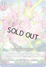 明日に香る蕾を信じて【R】{D-BT13/056}《ストイケイア》