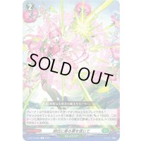 明日に香る蕾を信じて【R】{D-BT13/056}《ストイケイア》