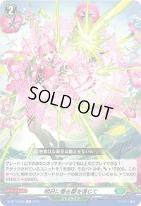 明日に香る蕾を信じて【R】{D-BT13/056}《ストイケイア》