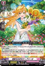 〔状態B〕親愛なるあなたへアリーゼ【RRR】{D-LBT03/011}《リリカルモナステリオ》