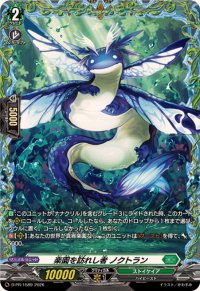 〔状態A-〕楽園を訪れし者ノクトラン【PR】{D-PR/1589}《ストイケイア》