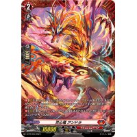 〔状態A-〕共心竜アンドラ【PR】{D-PR/923}《ドラゴンエンパイア》