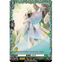 〔状態A-〕憂曇華バナナ【PR】{D-PR/979}《ストイケイア》