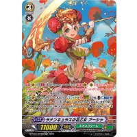 〔状態A-〕ラナンキュラスの花乙女アーシャ【SP】{D-PV01/SP28}《ネオネクタール》