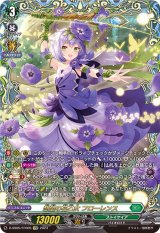 〔状態A-〕想望の花乙女フローレンス【FFR】{D-SS05/FFR05}《ストイケイア》