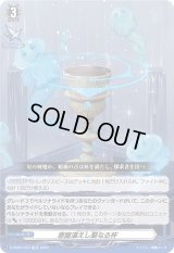 〔状態B〕恩寵湛えし聖なる杯【TD】{D-SS06/023}《その他》