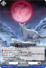虚ろなる月夜【TD】{D-SS08/017}《ブラントゲート》