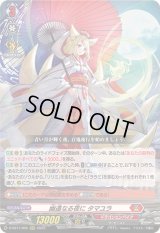 幽遠なる夜にタマユラ【RRR】{D-SS11/005}《ドラゴンエンパイア》
