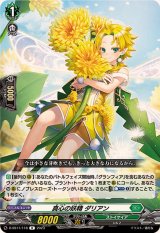 真心の妖精ダリアン【R】{D-SS11/118}《ストイケイア》