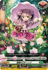 〔状態A-〕晴朗の乙女レェナ【R】{D-SS11/120}《ストイケイア》