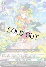 〔状態A-〕元気のリズムビアラ(H仕様)【TDR】{D-TD01/009R}《ストイケイア》