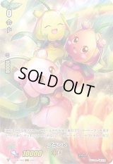 〔状態A-〕プラント【RRR】{D-VS06/T03}《その他》