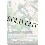 鍛錬の日々ラスカリア【C】{DZ-BT01/127}《ストイケイア》