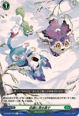 〔状態A-〕白銀に茂る森で【R】{DZ-BT06/070}《ストイケイア》