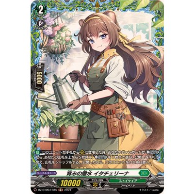 〔状態A-〕育みの撒水イタチェリーナ【FR】{DZ-BT06/FR45}《ストイケイア》