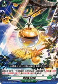 黄金陽光の実【R】{DZ-BT09/065}《ストイケイア》