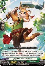 プラクティスドマステラ【C】{DZ-BT09/103}《ストイケイア》