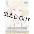 〔状態A-〕10thanniversaryRAISEASUILENマスキング【EX】{DZ-BT10/EX33}《その他》