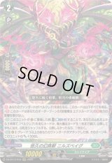 〔状態C〕悠久の幻真獣ニルズベイグ【RRR】{DZ-BT13/016}《ストイケイア》