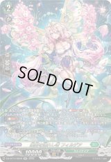 〔状態A-〕楽園を訪れし者フィルデア【SR】{DZ-BT14/SR38}《ストイケイア》