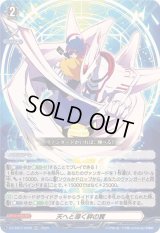 〔状態A-〕「RRR仕様」天へと導く絆の翼【TDR】{DZ-SS07/020R}《その他》