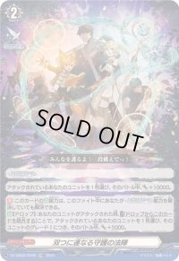 「RRR仕様」双つに連なる守護の法陣【TDR】{DZ-SS08/020R}《その他》