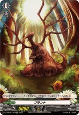 プラント【TD】{DZ-SS08/T02}《その他》