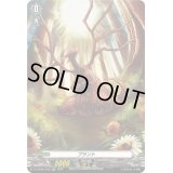 〔状態A-〕「RRR仕様」プラント【TDR】{DZ-SS08/T02R}《その他》