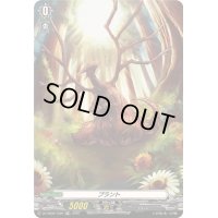 〔状態A-〕「RRR仕様」プラント【TDR】{DZ-SS08/T02R}《その他》