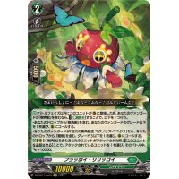 フラッポイ・リリッコイ【Re】{DZ-SS11/Re28}《ストイケイア》